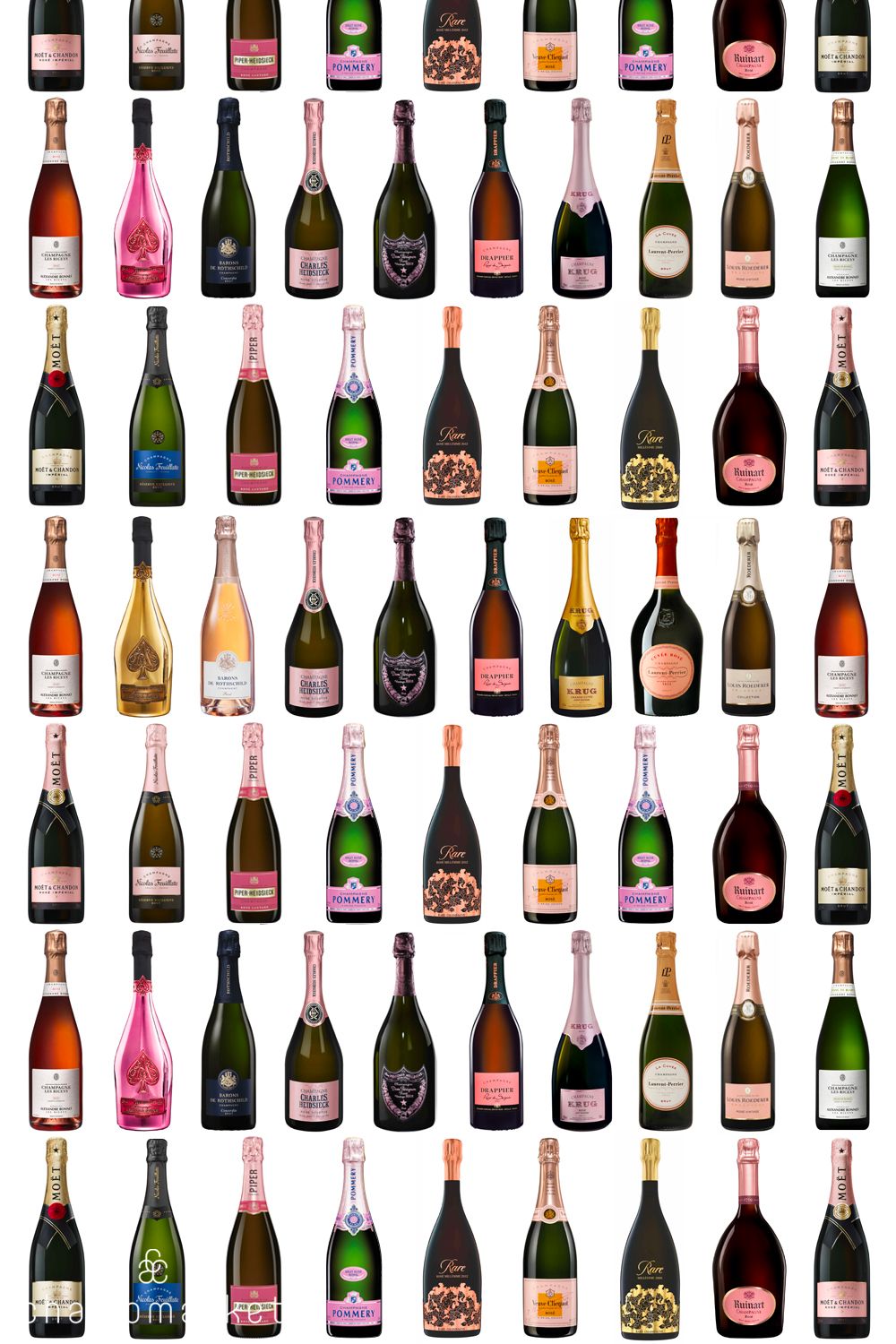 Champagne
